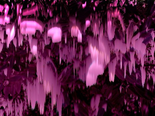 Image taken with a broken camera — Glitch Art