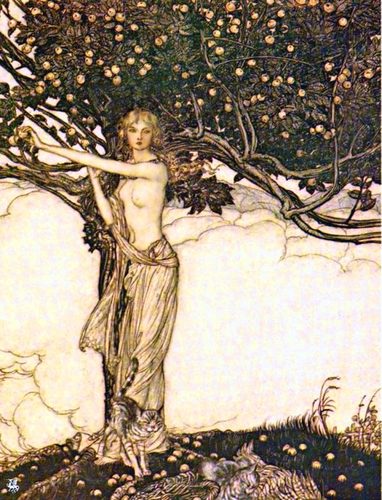 Freya — Illustration