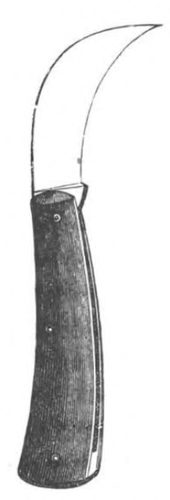 Baltet - L'art de greffer - fig3 — Line Art