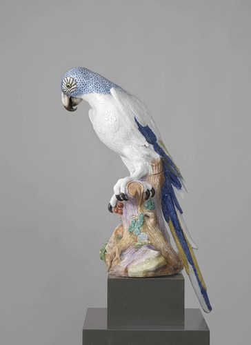 Blue Macaw — Porcelain Art