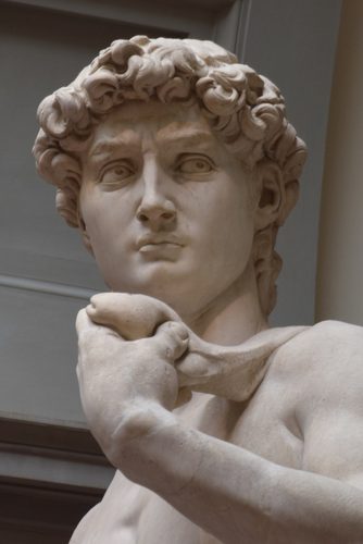 Michelangelo David crop — Sculpture