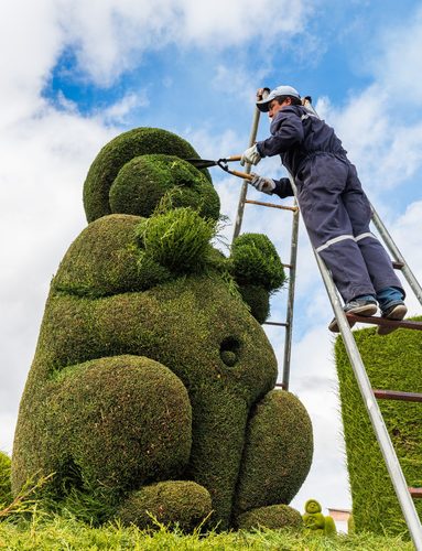 Cementerio, Tulcán, Ecuador, 2015-07-21, DD 60 — Topiary Art