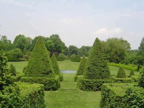Ladewbowl — Topiary Art