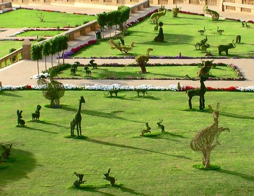 Green Animals Conference - Topiary animals at Qasim Park — Topiary Art