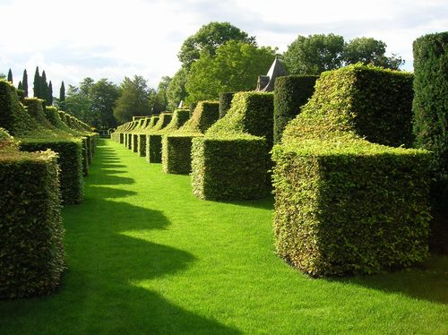 Eyrignac Manor - Gardens-02 — Topiary Art