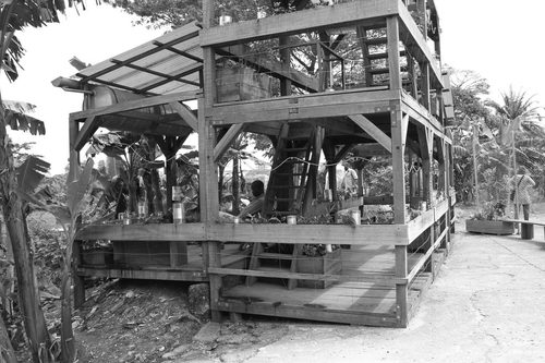 Roberto Paci Dalò - SUD Salon Urbain de Douala 2010 (148) — Video Art
